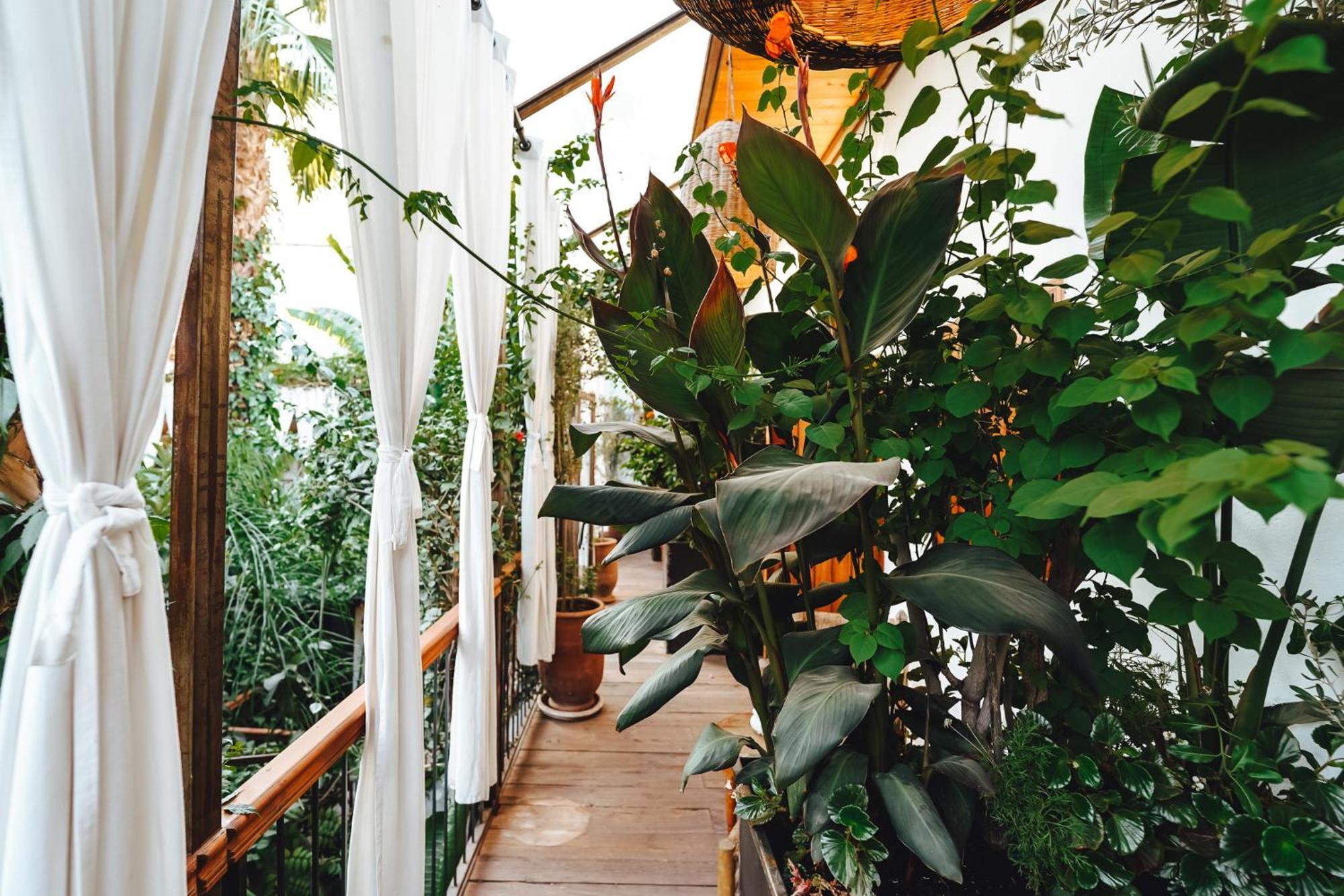 La Ferme Medina Hotel Marrakesh Bagian luar foto